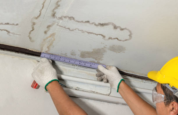Reliable Mold Remediation contractor in Buffalo, TX by Water Damage Irwin
